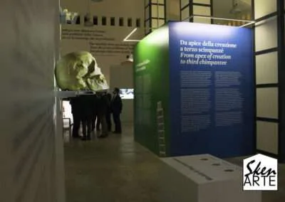 skenarte design balle di scienza