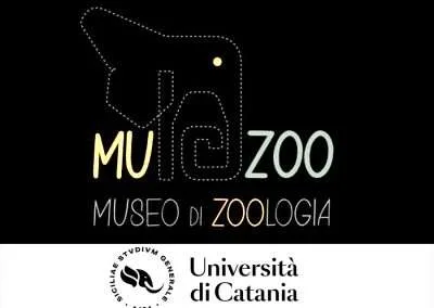 Museum di Zoologia UNICT