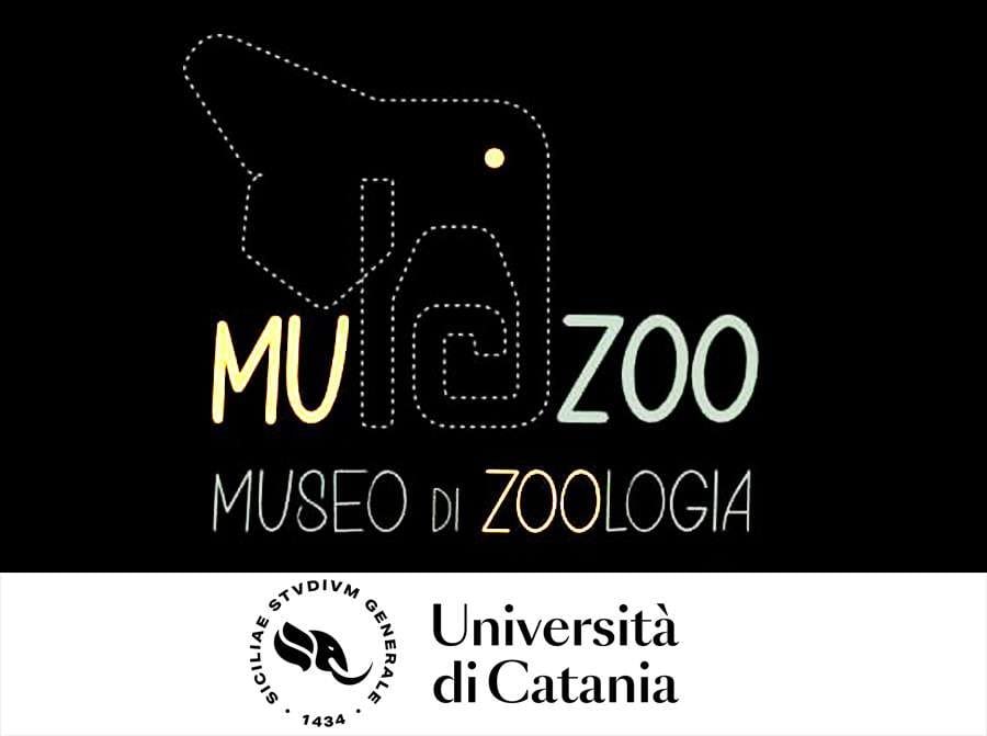 Museum di Zoologia UNICT