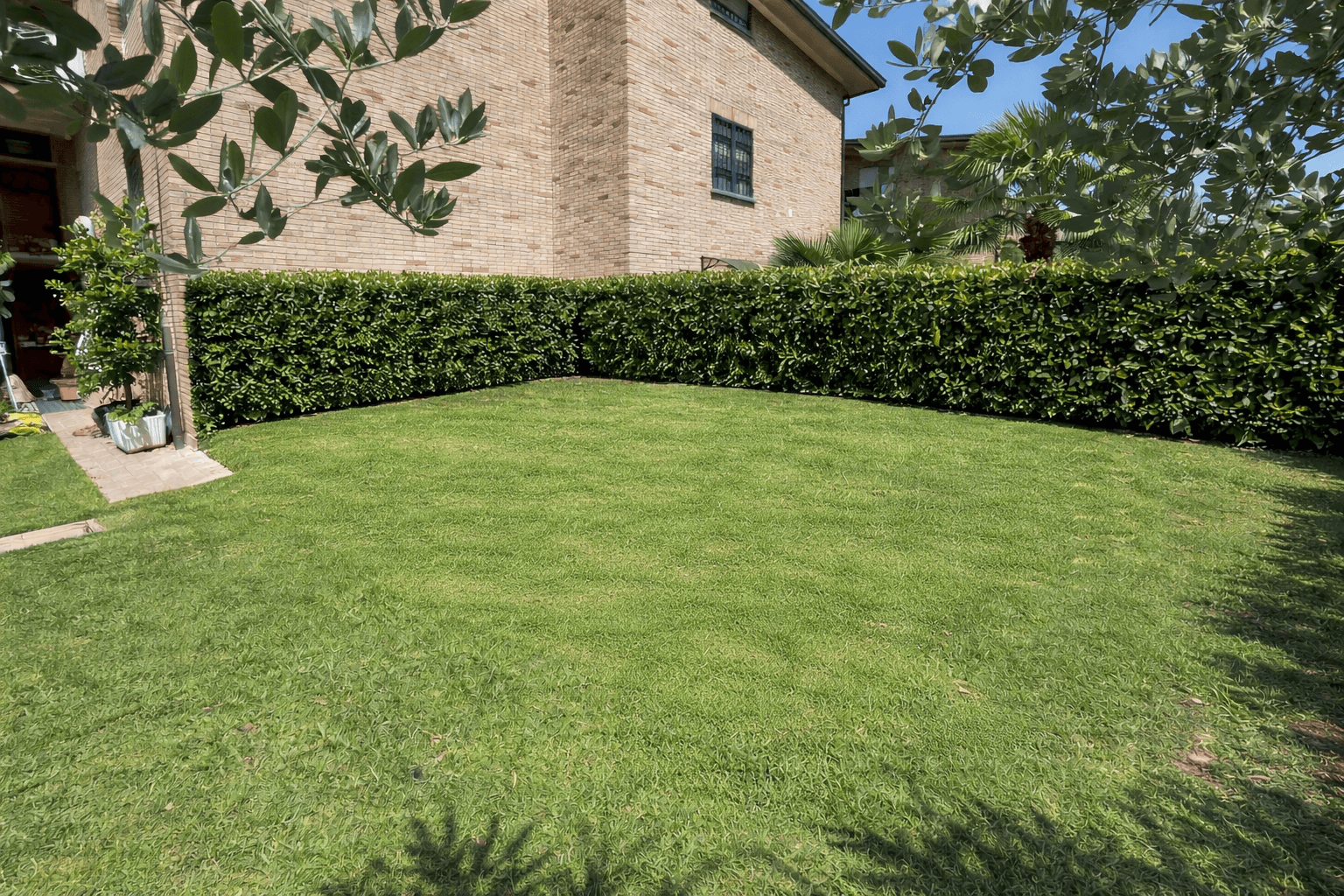 Giardino con prato e siepe prima della realizzazione di solarium per piscina fuori terra